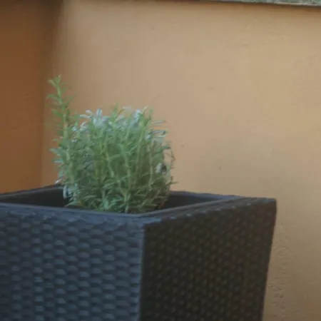 Apartment Stayinbologna