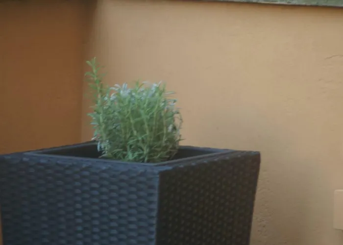 Lägenhet Stayinbologna